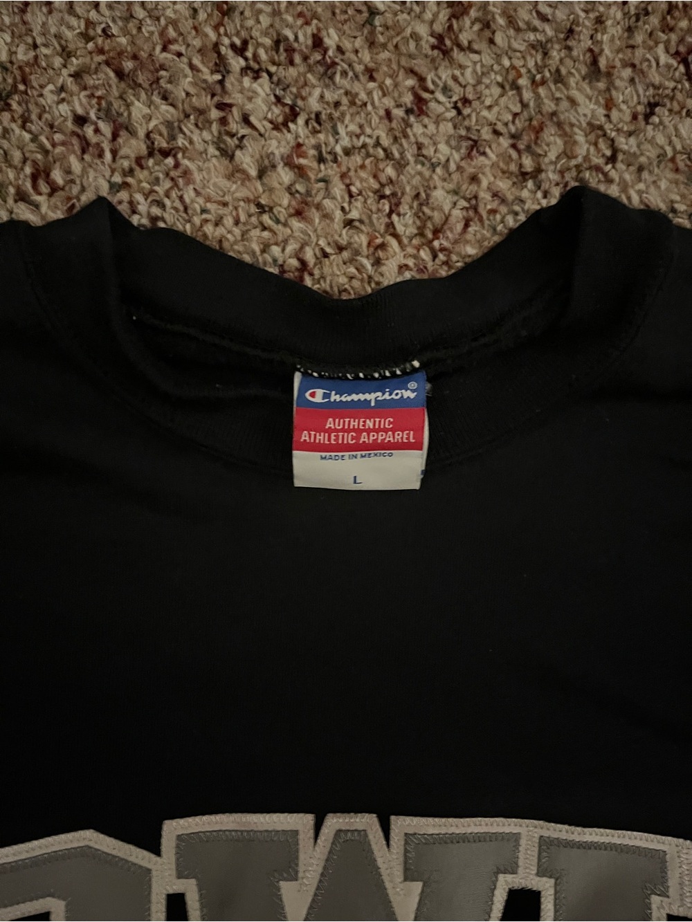 Champion Black RWU School of Law Crewneck Sweatshirt - Picture 2 of 4